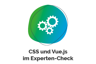 CSS und Vue.js im Experten-Check